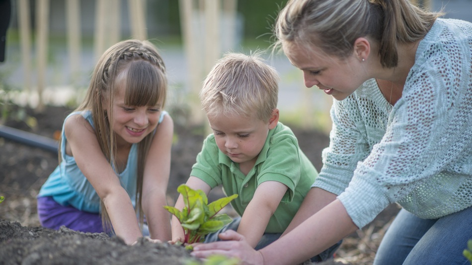 Técnico superior en Educación Infantil y 2 niños plantando una acelga en una granja escuela