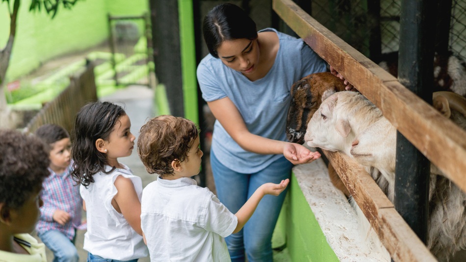 Técnico superior en Educación Infantil con niños en una granja escuela