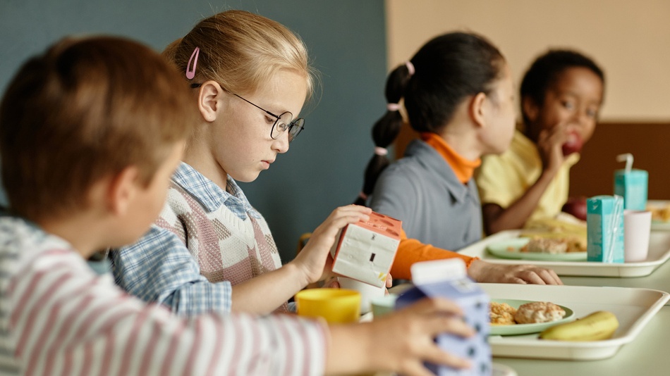 Existen diferentes factores que determinan cuánto cobra un monitor de comedor escolar, pero, de modo genérico, en España la retribución se sitúa entre los 400 y los 500 euros mensuales